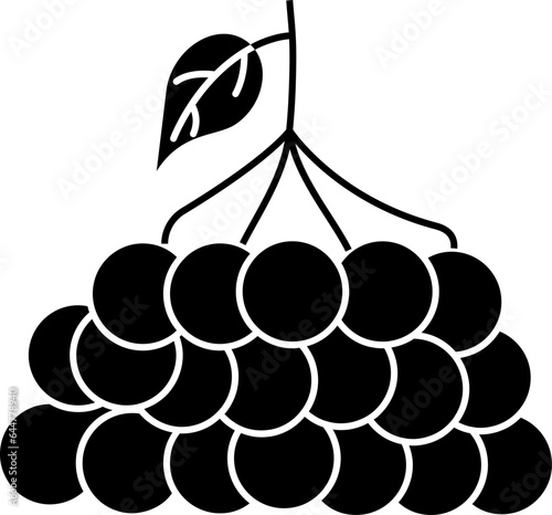 Rowan Berry Icon In B&W Color.