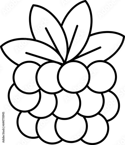 Blackberry Icon In Black Line Art.