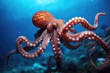 Octopus swims underwater.