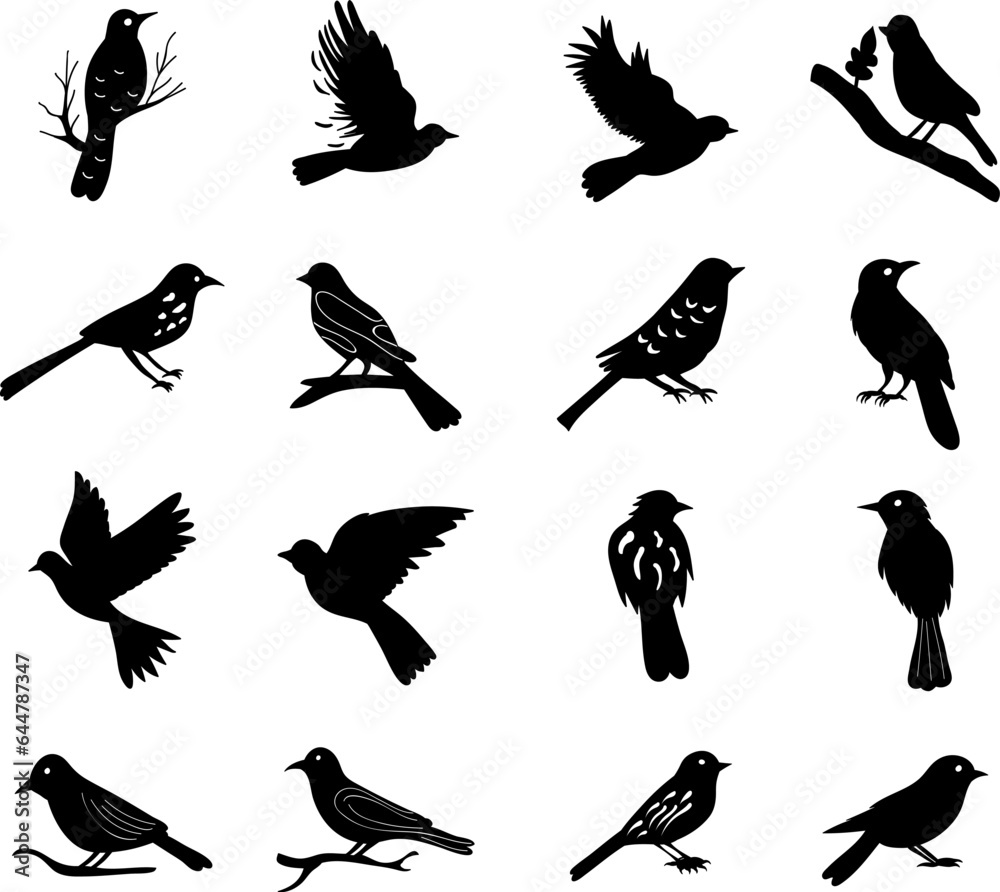 Obraz premium set of birds silhouettes on white background vector