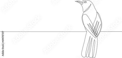 bird continuous line drawing, sketch on white background vector