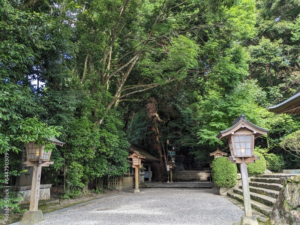 Takachiho Shrine, located just west of the town center, is nestled in a grove of tall cedars