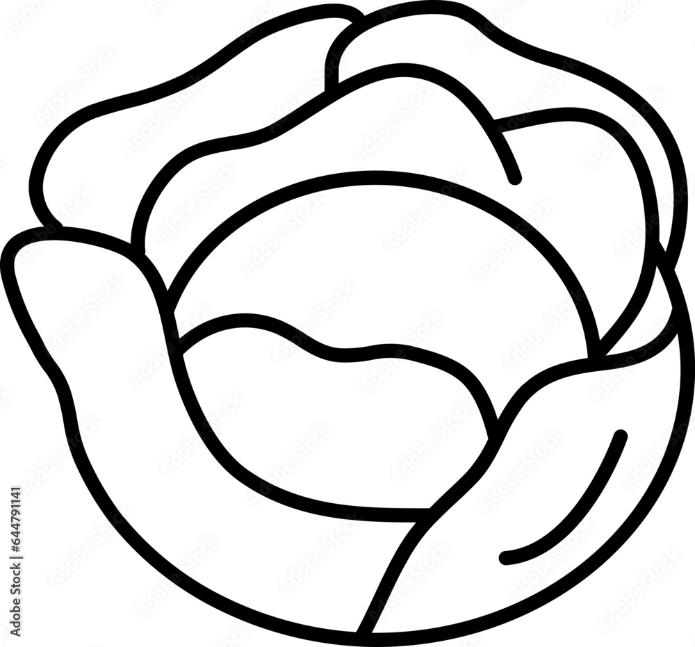 Cabbage icon in thin line art. Cabbage icon in thin line art.