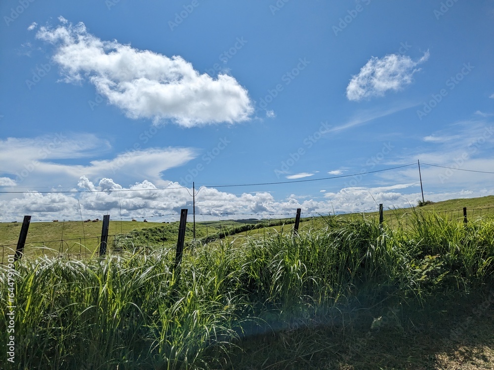 Aso milk road, vast grasslands cover the north outer rim