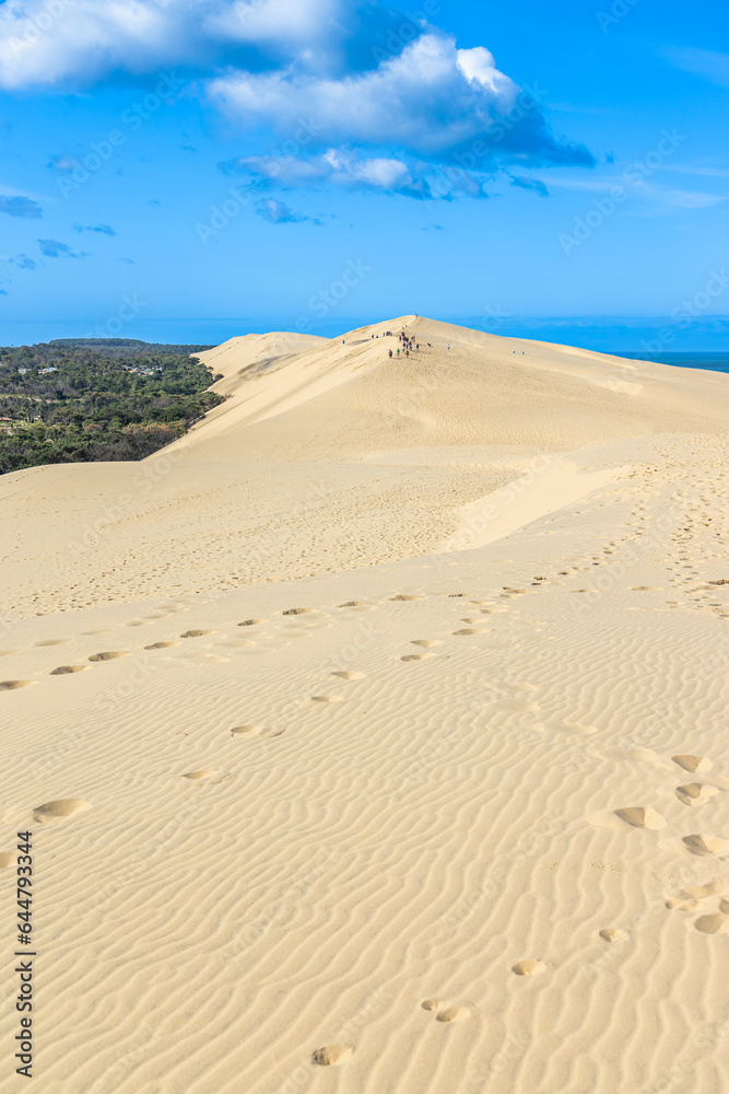Dune of Pilat and Landes forest on a summer day in La Teste-de-Buch, France 