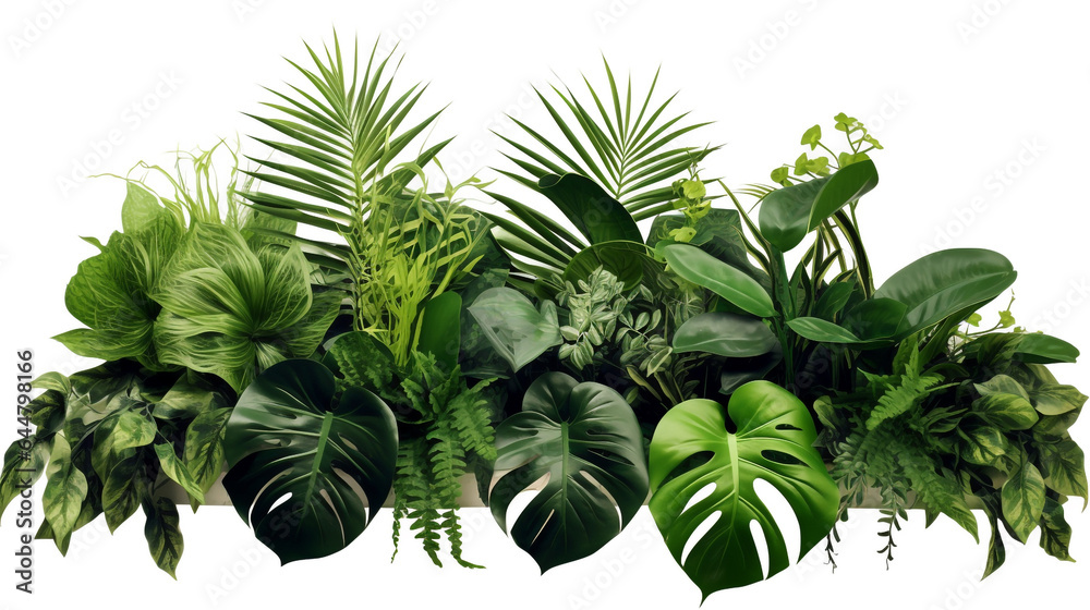 tropical plants on white background. Generative Ai