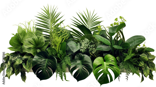 tropical plants on white background. Generative Ai