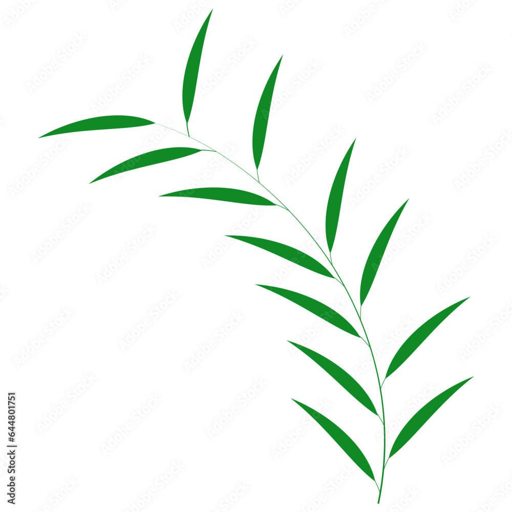 Fototapeta premium Green Leaf Element On White Background.