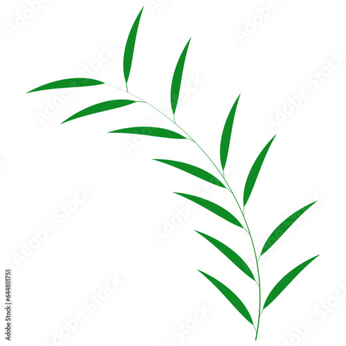 Green Leaf Element On White Background.