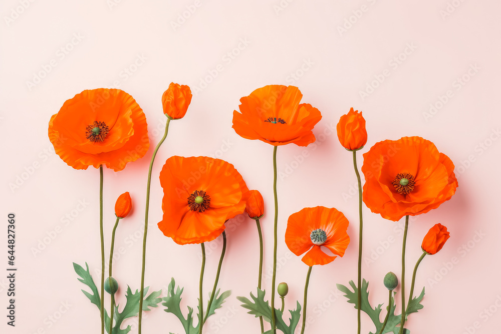 Obraz premium Collection of beautiful poppy flowers on solid background.