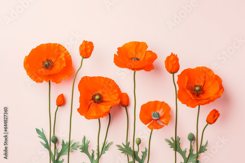 Collection of beautiful poppy flowers on solid background.