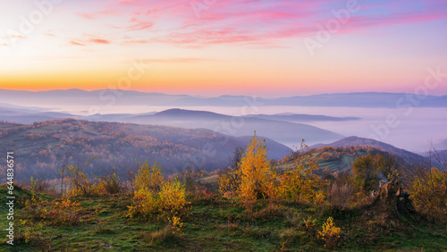 misty autumn sunrise in mountains. scenery with colorful trees on the hills in morning light. landscape rolling in to the distant valley full of fog © Pellinni