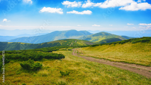 path down the green slope. mountainous landscape in summer on a sunny day. ridge in the distance beneath a blue sky with fluffy clouds. summer vacations in ukraine © Pellinni