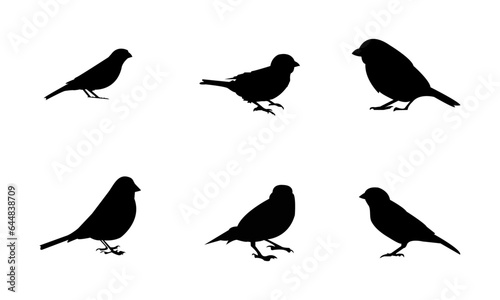 set of silhouettes of Sparrow 