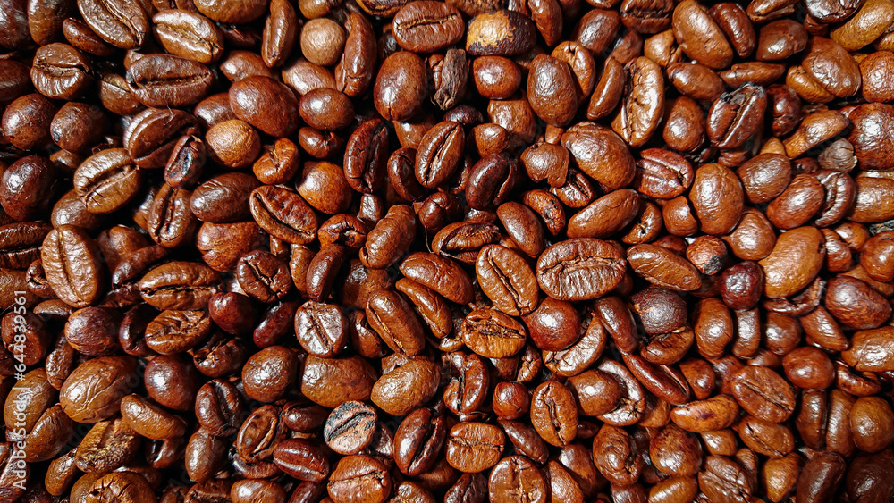Fototapeta premium a collection of coffee beans that have just finished roasting