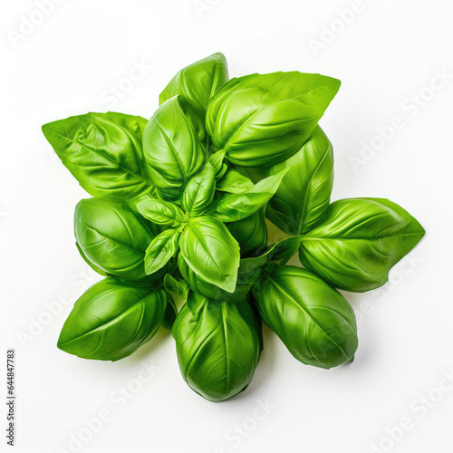 basil leaves isolated on white