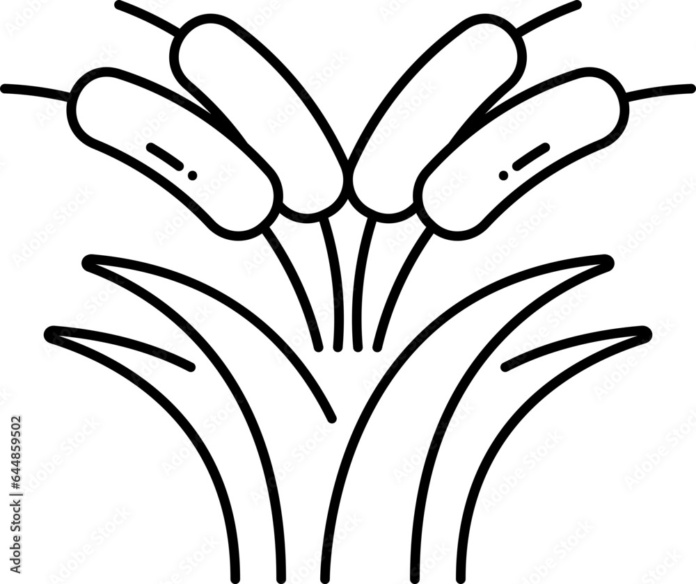 Fototapeta premium Black Stroke Illustration Of Reed Grass Icon.