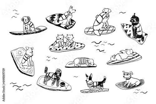 Dog surfing vector line illustrations set.