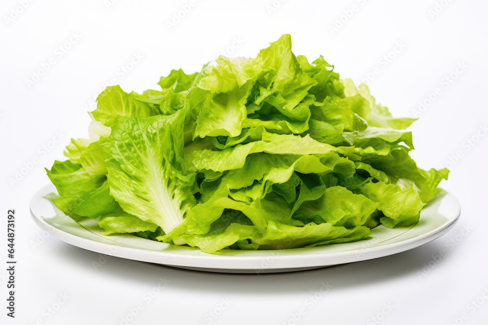 Freshly Shredded Lettuce on a Clean White Plate Freshly Shredded Lettuce on a Clean White Plate