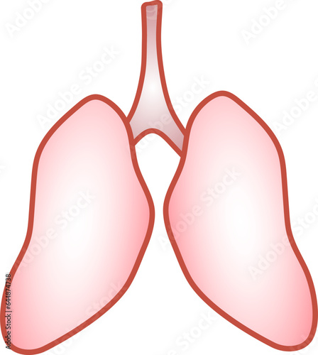 Human Lungs Anatomy Flat Vector.