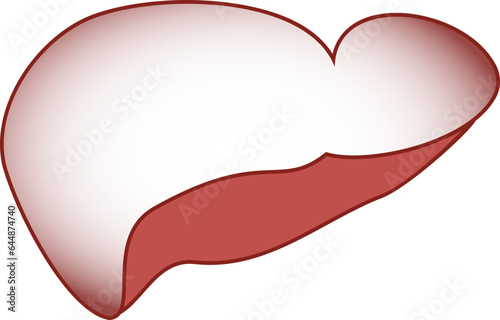 Vector Illustration Of Brown Human Liver.
