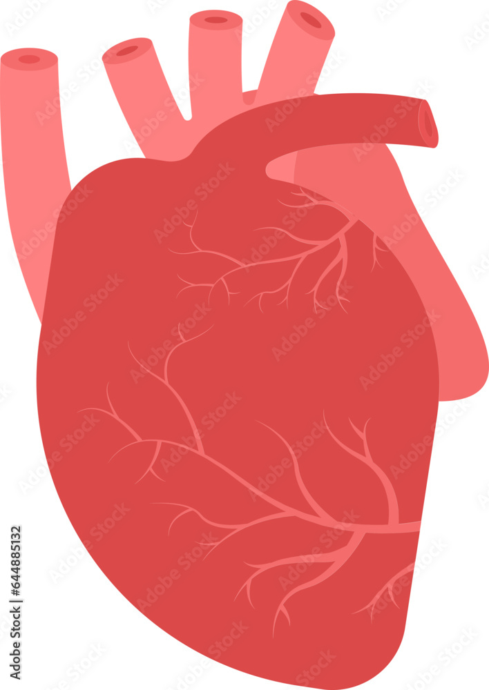 Flat Human Heart Structure Icon In Red Color. Flat Human Heart Structure Icon In Red Color.