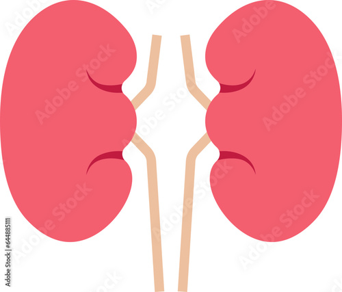 Peach And Red Kidney Structure Flat Icon.