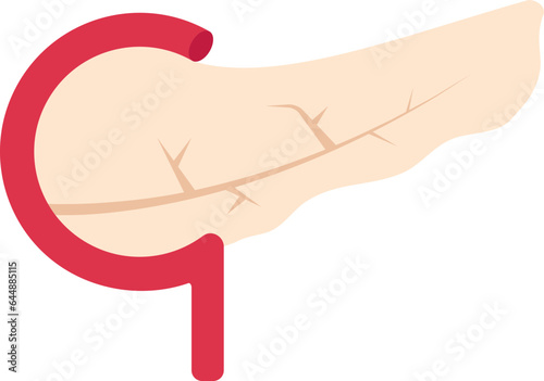 Flat Illustration Of Pancreas Anatomy Red Icon.