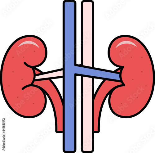 Blue And Red Kidney Structure Flat Icon.