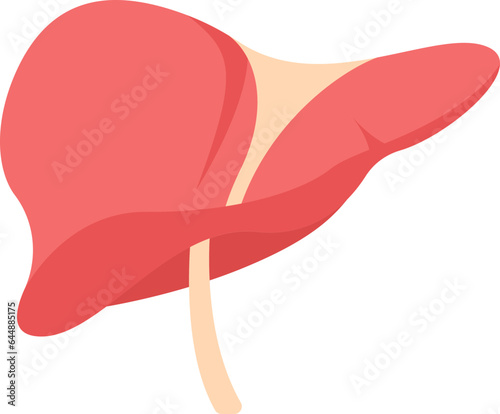 Red Anatomy Liver Icon In Flat Style.