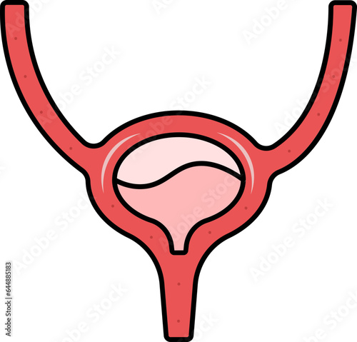 Red Illustration Of Bladder Anatomy Flat Icon.