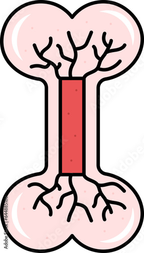 Red Illustration Of Bone Blood Circulation Icon. photo