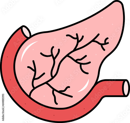 Flat Illustration Of Pancreas Anatomy Red Icon.