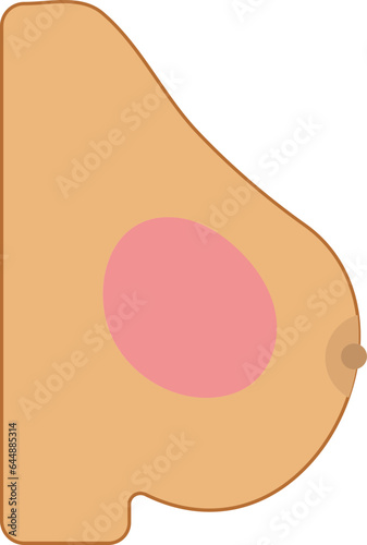 Tender Breast Icon In Peach And Pink Color.