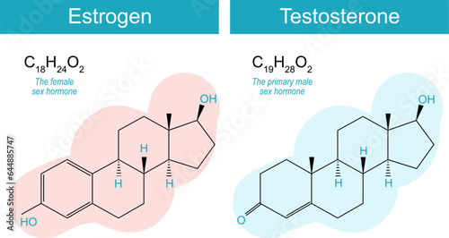 testosterone and estrogen molecules photo