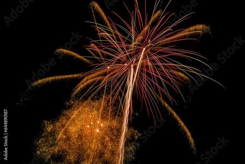 Colorful fireworks exploded in the night sky.