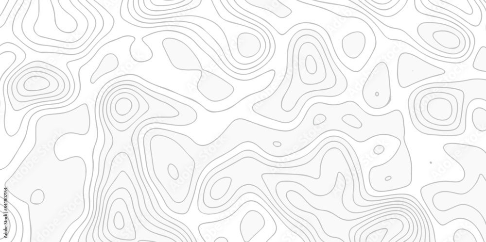  Abstract sea map geographic contour map and topographic contours map background. Abstract white pattern topography vector background. White wave paper curved reliefs abstract background.