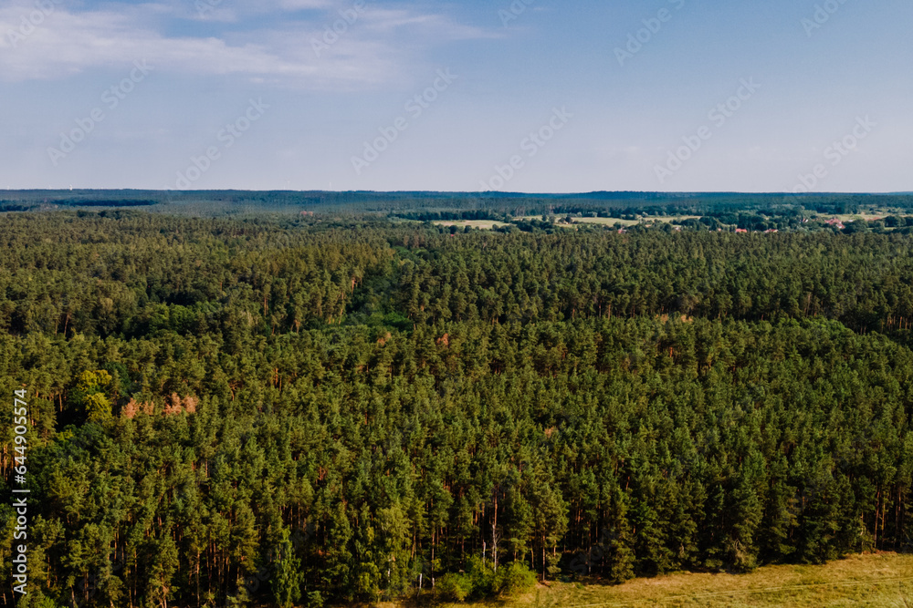 Drohnenfoto Waldlandschaft in Strausberg