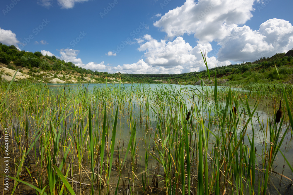 Landscape with water in a chalk quarry