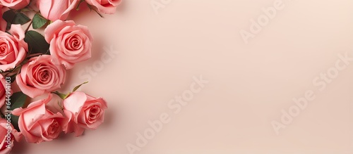 Valentines Day bouquet on a isolated pastel background Copy space