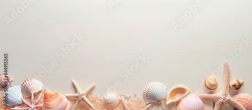 Seashells alone against a isolated pastel background Copy space