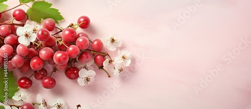 Hawthorn items against isolated pastel background Copy space