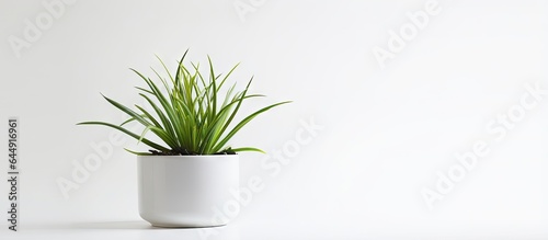 White isolated pastel background Copy space with plastic office greens no need for care