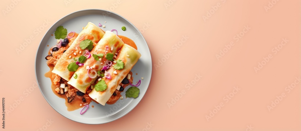 Tasty enchilada isolated pastel background Copy space plate