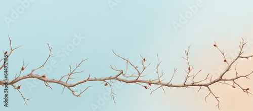 A thorny branch in the wilderness isolated pastel background Copy space