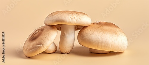 Portobello mushrooms on a isolated pastel background Copy space