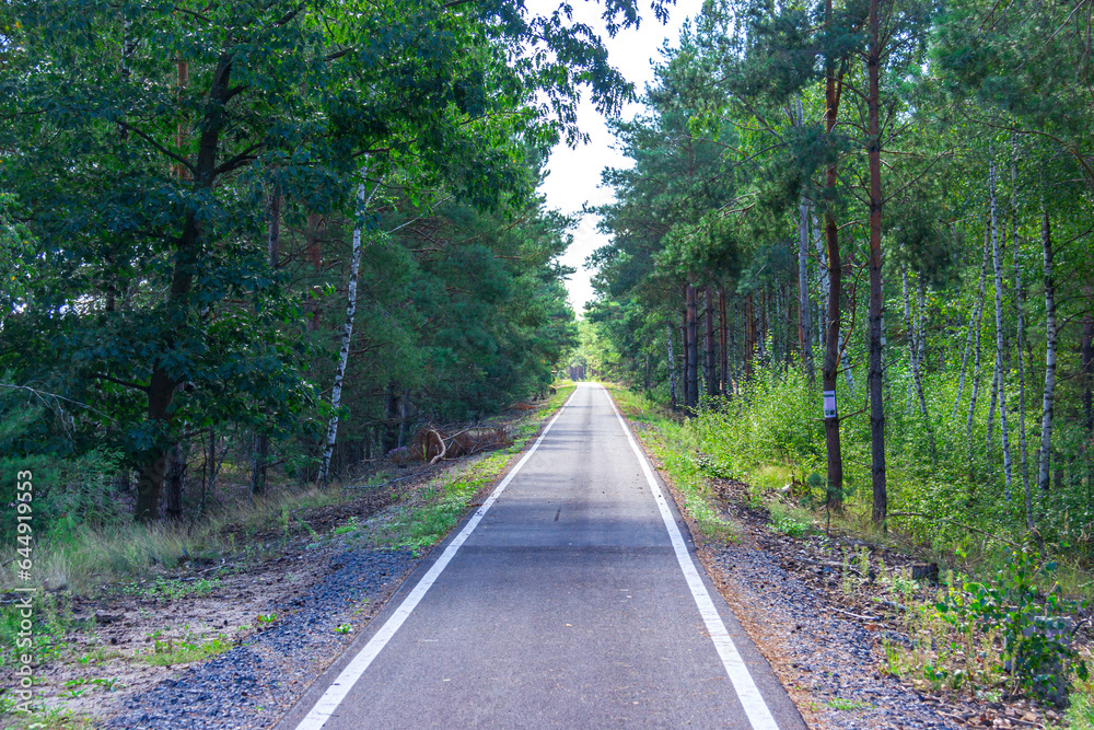 Obraz premium Radweg