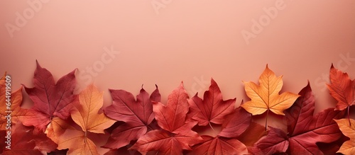 Red autumn leaves pattern perfect for wallpaper design isolated pastel background Copy space