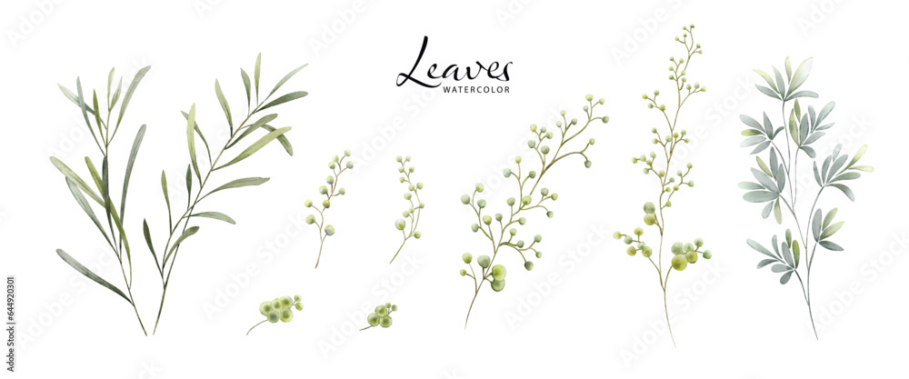 Set of Watercolor Botanical Leaves Elements Set of Watercolor Botanical Leaves Elements