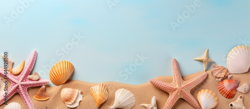 Summer vibes Shells and starfish isolated pastel background Copy space